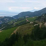 Laura 블라체